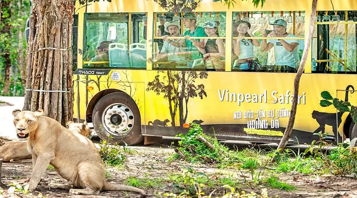 vé Vinpearl Safari Phú Quốc