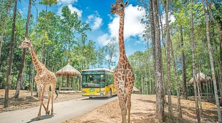 Vinpearl Safari Phú Quốc