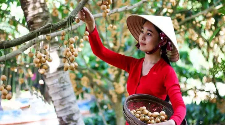Vườn trái cây Cần Thơ