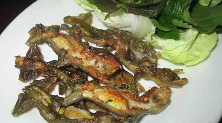 thằn lằn núi Tây Ninh