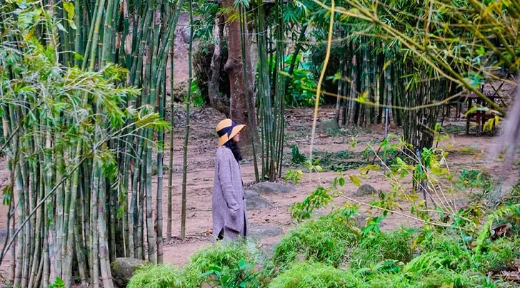 Sơn Trà Tịnh Viên Đà Nẵng