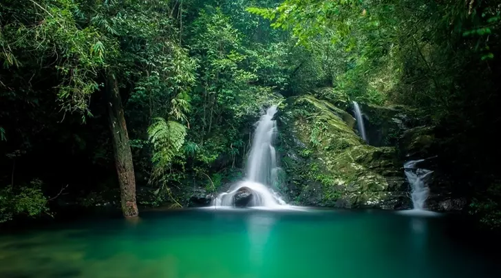 Ngũ Hồ Bạch Mã 