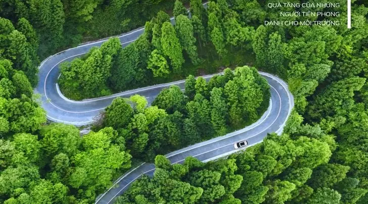 VinFast khởi động dự án trồng rừng “Phủ xanh Tương lai”