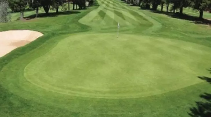 Green trong golf là gì