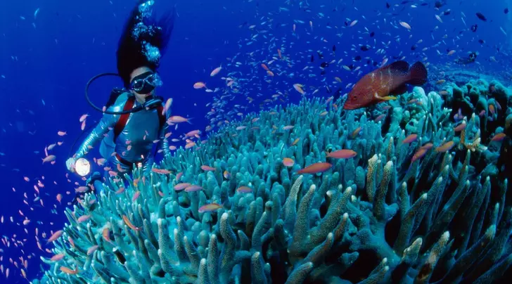 Diving in Hoi An