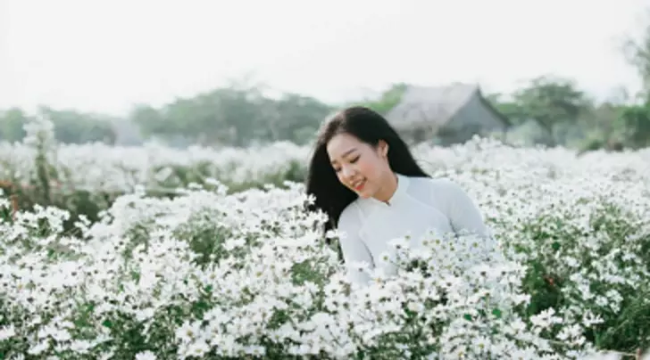 하노이푸꾸옥
