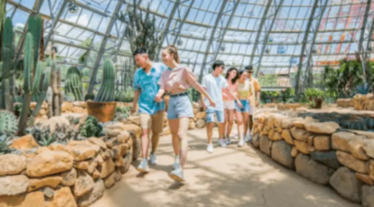 Tour Hà Nội Nha Trang