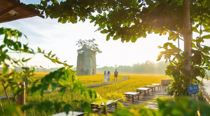 Cafe cánh đồng Hội An