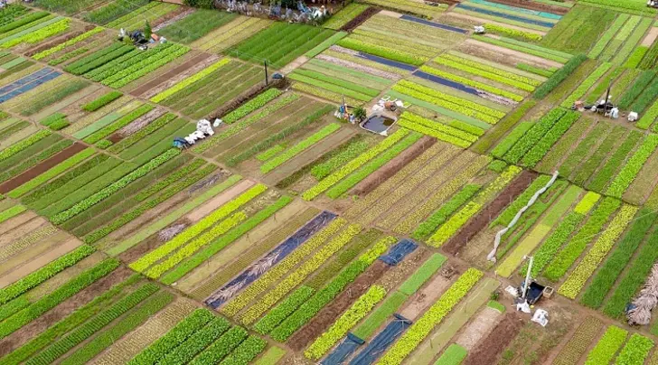 Day trips from Hoi An