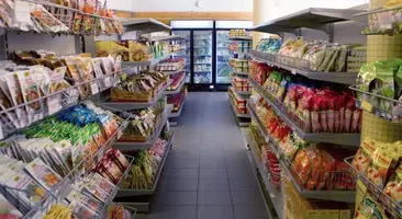 L'ion Vinpearl Phú Quốc