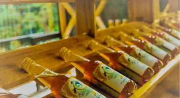 Hoàng Bách cafe mật ong rừng Phú Quốc