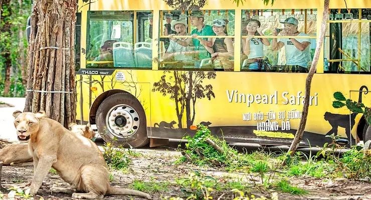 Giá vé Vinpearl Safari Phú Quốc