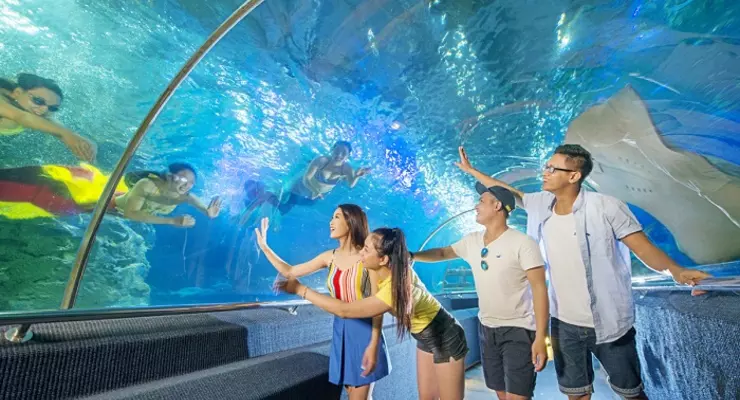 Thuỷ cung VinWonders Phú Quốc