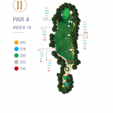 HOLE 11