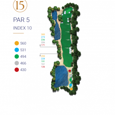 HOLE 15