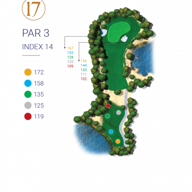 HOLE 17