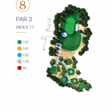 HOLE 8