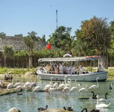 River Safari