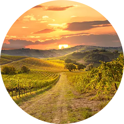 Amarone della Valpolicella Classico Il Lussurioso Buglioni