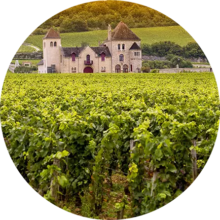 Rolly Gassmann DeRorschwihr Riesling 2017