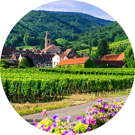Chateau La Fleur Bellevue Cabernet Sauv