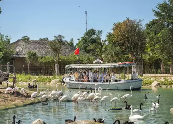 River Safari