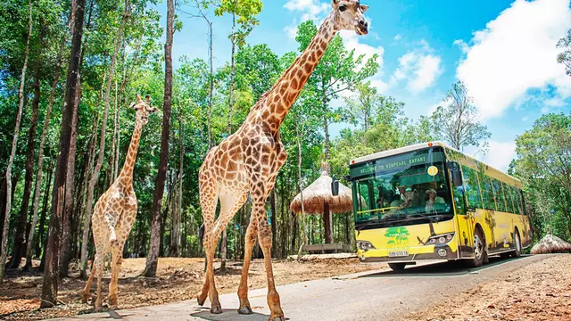 Vinpearl Safari
