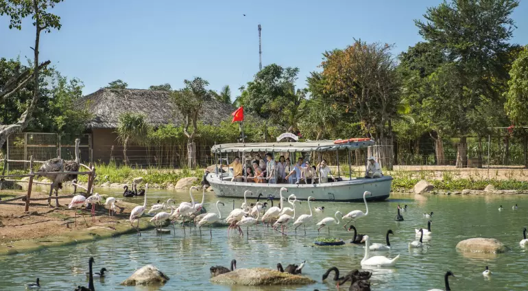 River Safari