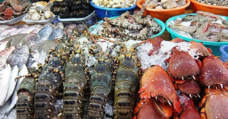 Chợ Hải Sản Cửa Lò 