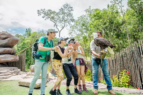 Hinh-anh-Vinpearl-Safari-Phu-Quoc-San_khau-chim-6