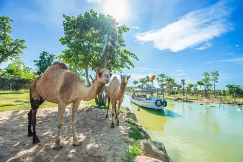Hinh-anh-VinWonders-Nam-Hoi-An-River-Safari-3x2-so-14
