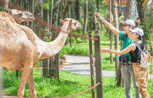 Hinh-anh-Vinpearl-Safari-Phu-Quoc-12