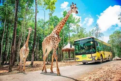 Hinh-anh-Vinpearl-Safari-Phu-Quoc-78