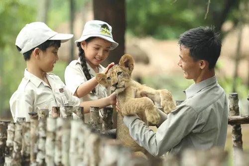 Hinh-anh-Vinpearl-Safari-Phu-Quoc-Kid_zoo_34