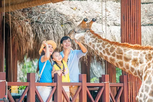 Hinh-anh-Vinpearl-Safari-Phu-Quoc-Nha_hang_Giraffe_13