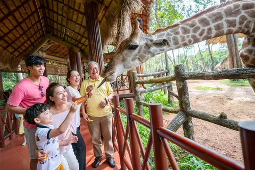 Hinh-anh-Vinpearl-Safari-Phu-Quoc-Nha_hang_Giraffe_3