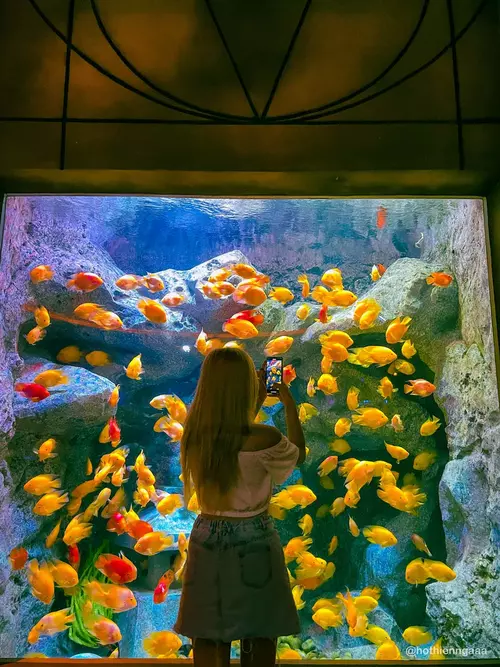 Hinh-anh-Phu-Quoc-United-Center-KOL-trai-nghiem-18