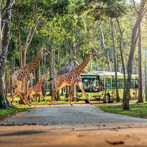 Vinpearl-Safari-Phu-Quoc