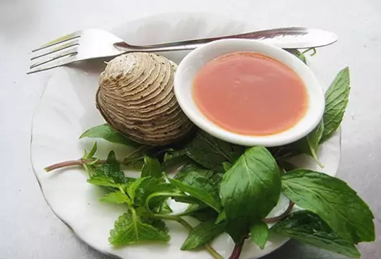 ngán biển Quảng Ninh