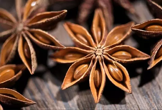 hoa hồi Lạng Sơn