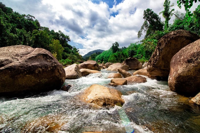 The Fairy River Nha Trang
