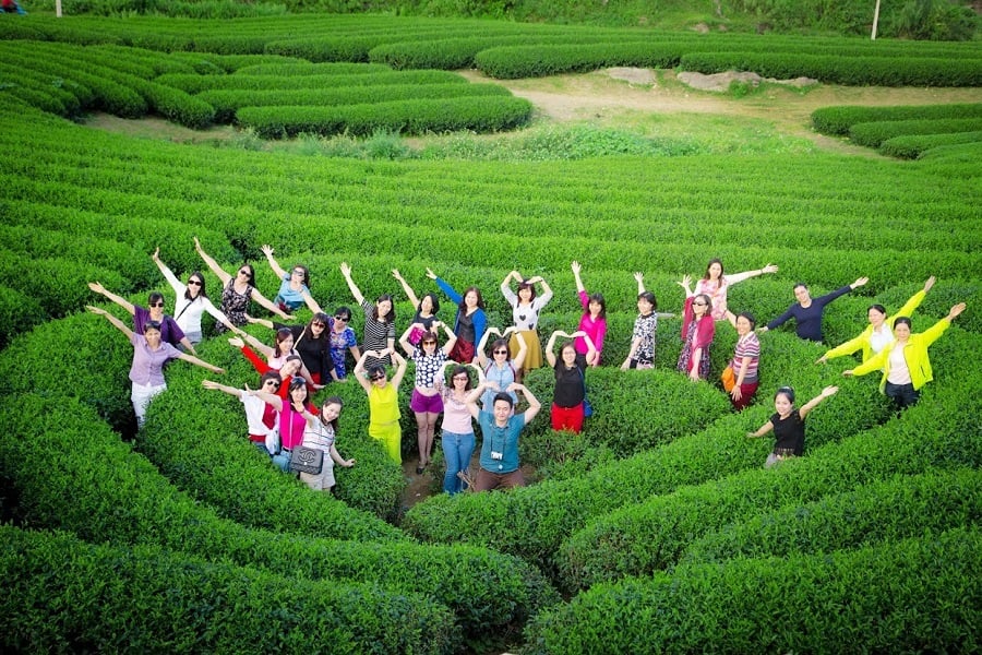 Team building đồi chè Mộc Châu