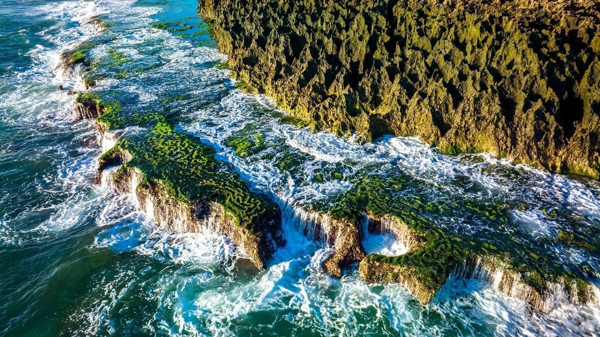 Mùa rêu Hòn Đỏ Ninh Thuận