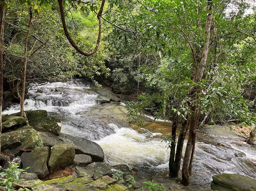 Suối Tranh Phú Quốc mùa mưa