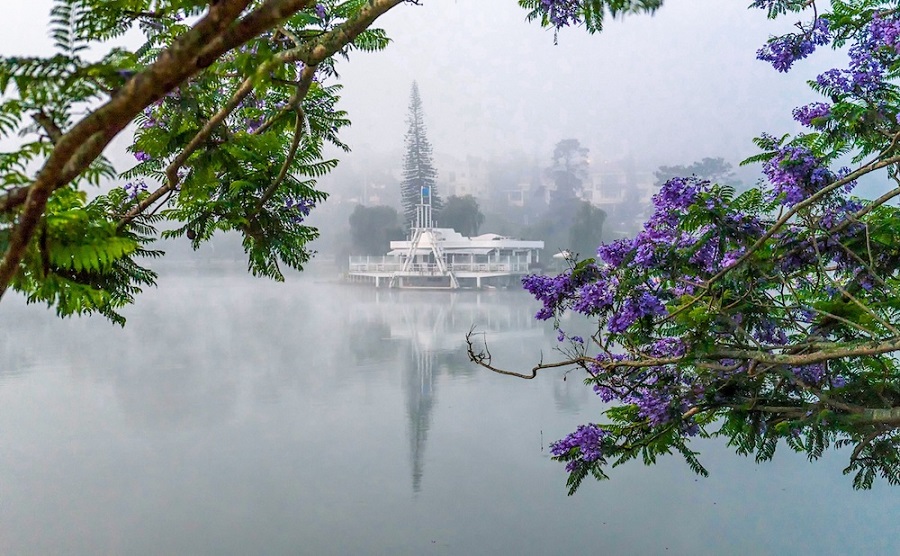 Thời tiết Đà Lạt