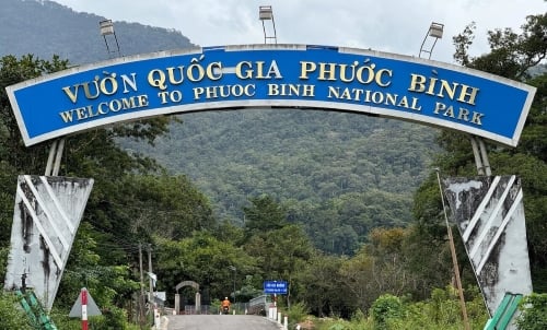Vườn quốc gia Phước Bình