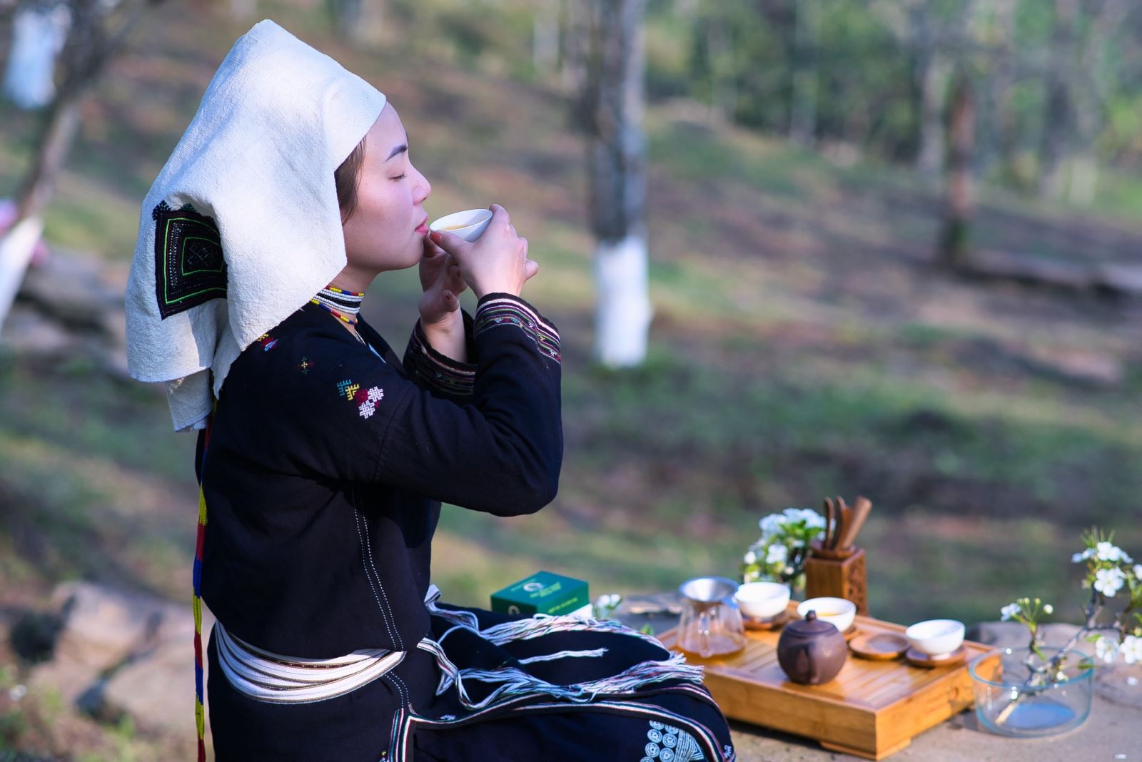Thưởng thức chè Shan Tuyết Na Hang