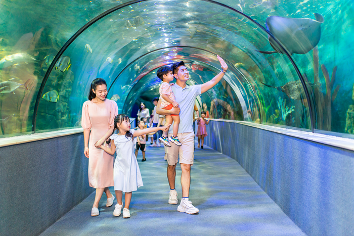 Hình ảnh du khách thăm quan thuỷ cung Vinpearl Aquarium Times City