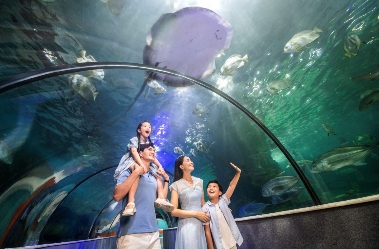 Thuỷ cung Times City quy tụ hơn 30.000 sinh vật biển
