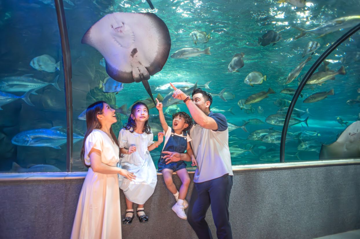Ngắm sinh vật biển tại Thuỷ cung Times City